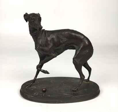 null Pierre-Jules MENE (1810-1879) Lévrier la patte levée Bronze patiné sur une base...