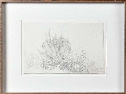 null FRENCH ECOLE c. 1800 Study of agaves and prickly pears Graphite on paper 16.5...