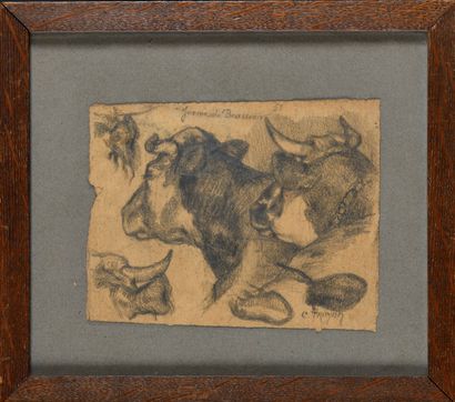 Constant TROYON (1810-1865) Study of a bull...