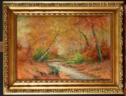 null Auguste ALLONGÉ (1833-1898) Forest in autumn Canvas mounted on cardboard, mixed...