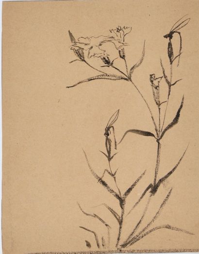 null MARIE GAUTIER (1867-1960) Libellule sur une branche de fleur Encre sur papier...