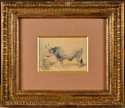  Rosa BONHEUR (1822-1899) Taureau gris tacheté Dessin et aquarelle sur papier Cachet...
