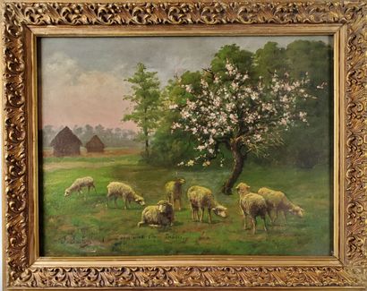 null Marie Jules JUSTIN (XIX) Sheep under the apple tree Oil on canvas Signed lower...