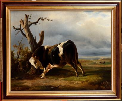  Jacques Raymond BRASCASSAT (1804-1867) Taureau se frottant contre un arbre dans...