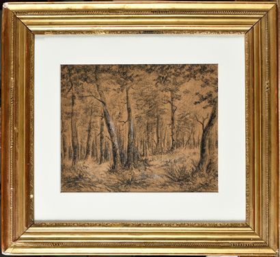 null Narcissus Virgil DIAZ DE LA PEÑA (1807-1876) Study of an undergrowth Charcoal...