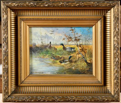  Julius SCHEUERER (1859-1913) Canards aux bords de l’étang Huile sur panneau Signé...