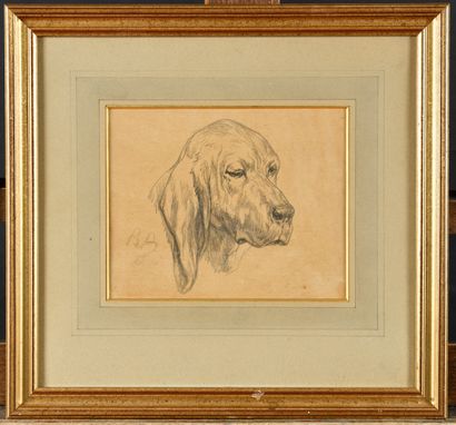 Rosa BONHEUR (1822-1899) Tête de chien Dessin au crayon Signé des initiales RB en...