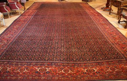 null GRAND TAPIS persan en laine à fond bleu 450 x 315 cm