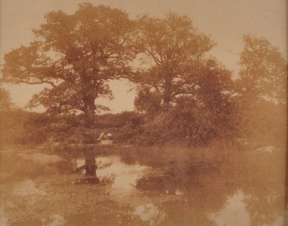 Charles MARVILLE (1816-1879) Mare et arbres en forêt de Fontainebleau,1854 Tirage...