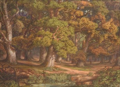 Karl BODMER (Zurich 1809 - Barbizon 1893) Forêt de Fontainebleau Aquarelle 47 x 64...