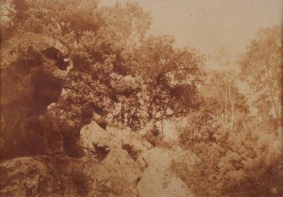 Charles MARVILLE (1816-1879) Etude d'arbres et rochers en forêt de Fontainebleau,...