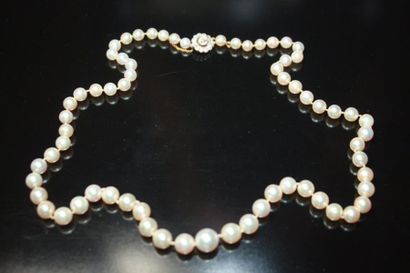 null COLLIER de perles orné d'un fermoir stylisant une fleur pavée de diamants de...