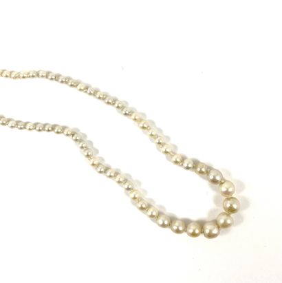  NECKLACE adorned with a succession of white pearls (not tested) in probably fine...