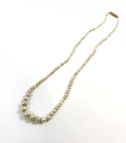 null NECKLACE holding a succession of white pearls probably fine (not tested) in...