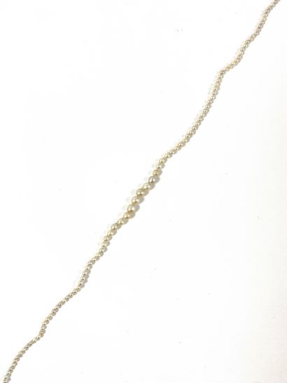 null NECKLACE adorned with a succession of white pearls (not tested) in probably...