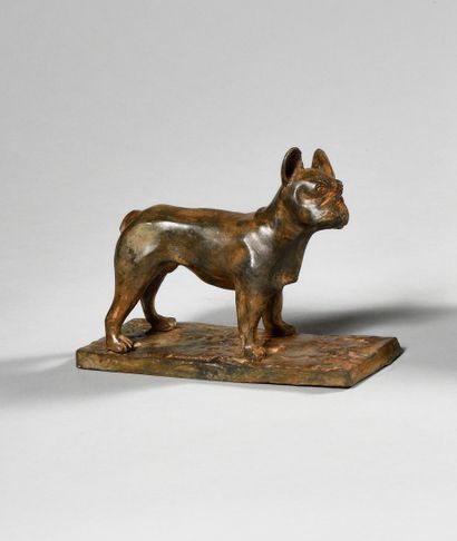 null PIERRE CHENET (XXth Century) Bulldog Bronze with brown ochre patina Signature...