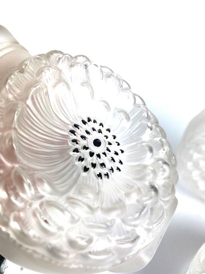 null LALIQUE France " Dalhia " Set of two anemone bottles and a circular box in frosted...