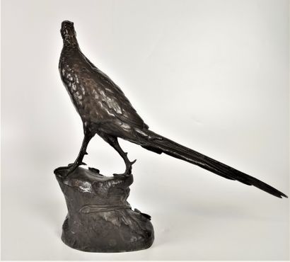 null Léon BUREAU (1866-1906) Pheasant Bronze with double brown patina Signed on the...