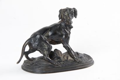 null After Pierre Jules MÈNE (1810-1879) " Dog at the stop " Proof in bronze, green-brown...