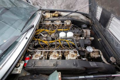 1976 FERRARI 365 GT4 N° Châssis : 19299

Carte grise française

Succédant à la GTC/4,...