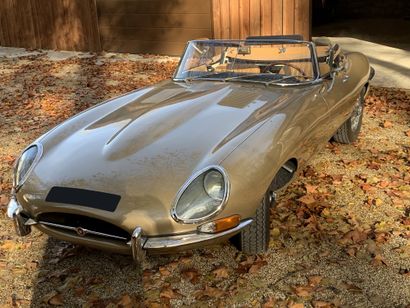 1967 JAGUAR TYPE E SERIE 1 4.2L OTS Serial number 1E15026

Restoration competition

Matching...