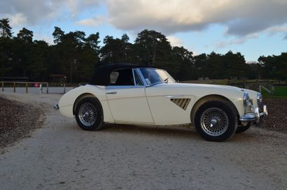 1963 AUSTIN HEALEY 3000 MK2 BJ7 Numéro de série 20203

Bel état esthétique 

Importante...