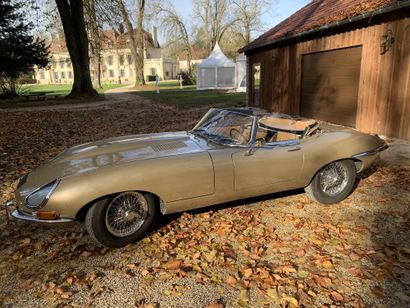 1967 JAGUAR TYPE E SERIE 1 4.2L OTS Numéro de série 1E15026

Restauration concours

Matching...