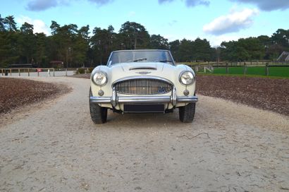 1963 AUSTIN HEALEY 3000 MK2 BJ7 Serial number 20203

Nice cosmetic condition 

Important...