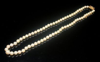 null COLLIER de perles avec fermoir en or jaune serti de saphirs. Poids brut: 27...