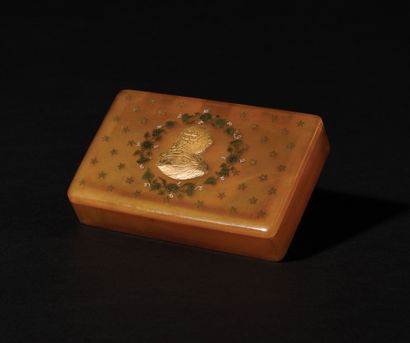 RECTANGULAR BOX IN CLEAR HORN, 
decorated...