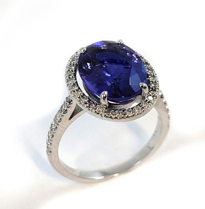 null RING holding an oval tanzanite of 4.71 carats in a setting of brilliant-cut...