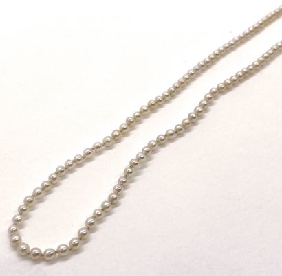 null NECKLACE composed of white pearls probably fine (not tested) slightly in falls....