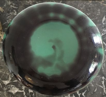 null ETABLISSEMENT GALLE (attribué à) Grand vase à long col en verre gravé vert d'eau...