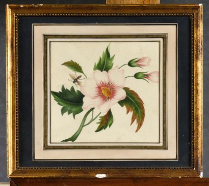null A pair of gouaches on rice paper in gilded wooden frames Height 16.5 cm - Width...
