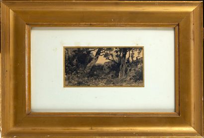  Henri Joseph HARPIGNIES (1819-1916) Rochers en forêt Dessin au lavis Signé en bas...