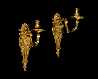 null PAIR OF SMALL LIGHT ARMS in gilded bronze with a branch and a profile and lion's...