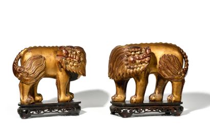 null CHINE-VIETNAM, VERS 1900 Paire de grands lions bouddhiques, en bois doré sur...