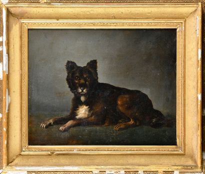 null ÉCOLE DU DEBUT DU XIXEME Portrait de chien Huile sur toile (cadre en bois doré)...