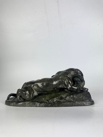 null Antoine Louis BARYE (1796 -1875) Jaguar devouring a hare Bronze with green-brown...