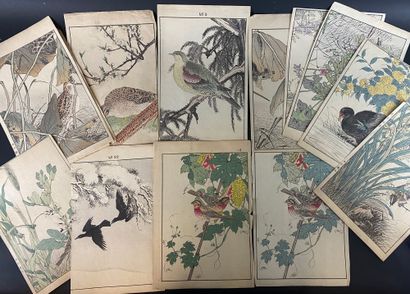 null CARTON A DESSINS comprenant des gravures anciennes en noir et en couleur (XVIIe...