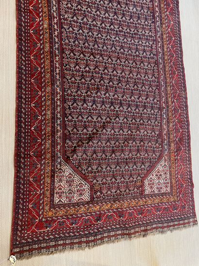 null PERSE Tapis Khamseh. vers 1900/1910 Région de chiraz 280 x 152 cm Velours en...