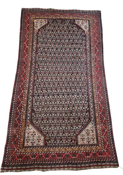 null PERSE Tapis Khamseh. vers 1900/1910 Région de chiraz 280 x 152 cm Velours en...