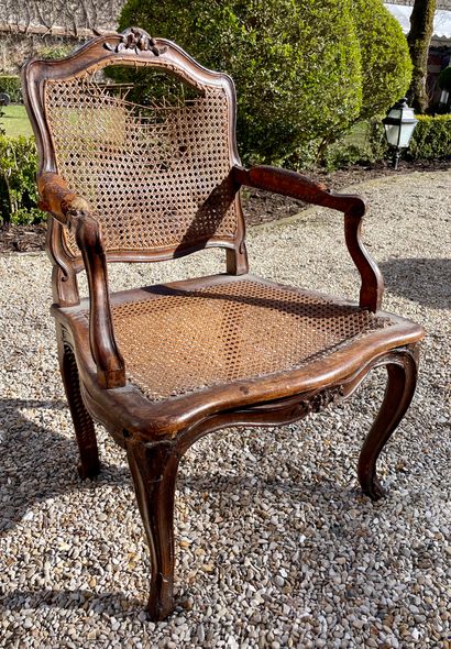 Caned armchair in natural wood molded and...