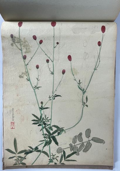 null JAPON Album de soie brodée à décor de fleurs et d'oiseaux contenant une collection...