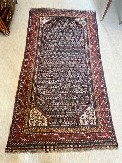 null PERSE Tapis Khamseh. vers 1900/1910 Région de chiraz 280 x 152 cm Velours en...