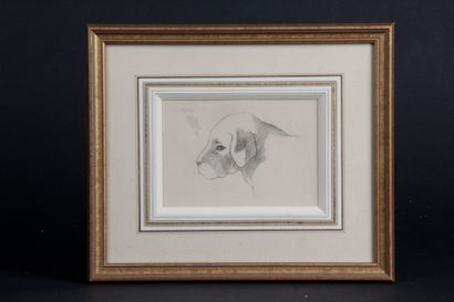  LOT of t2framed pieces : - Drawing with...