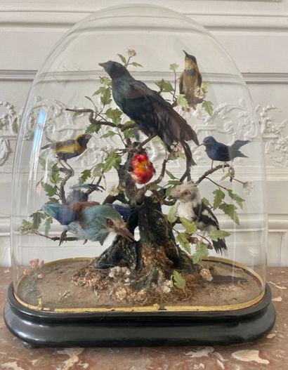 null GLOBE WITH BIRDS representing a spring scene 19th century H: 49 cm