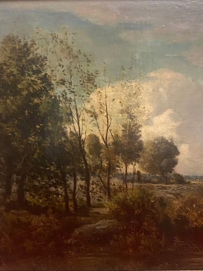 null Florimond PALVADEAU (1815-1883) Landscape with cows. Oil on canvas, signed lower...