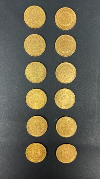 null FRANCE 12 coins of 20 francs gold. Weight : 77.1 g