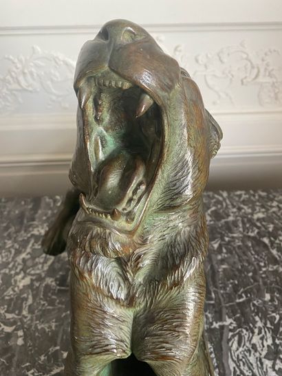  Louis RICHE (1877-1949) L'éveil de la lionne. Important bronze à patine verte. Signé...